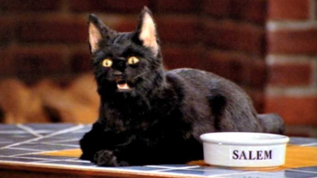 Best of Salem from « Sabrina the teenage witch »