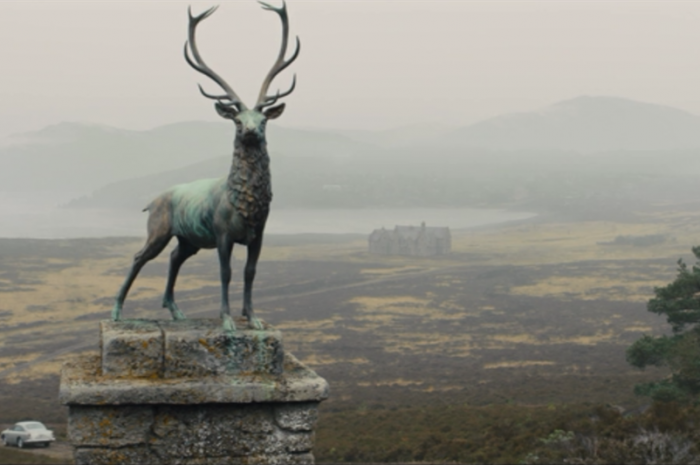 The stag in the pop culture