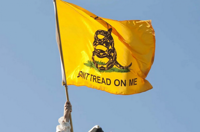 “Don’t tread on me” the Gadsden flag of the Libertarians